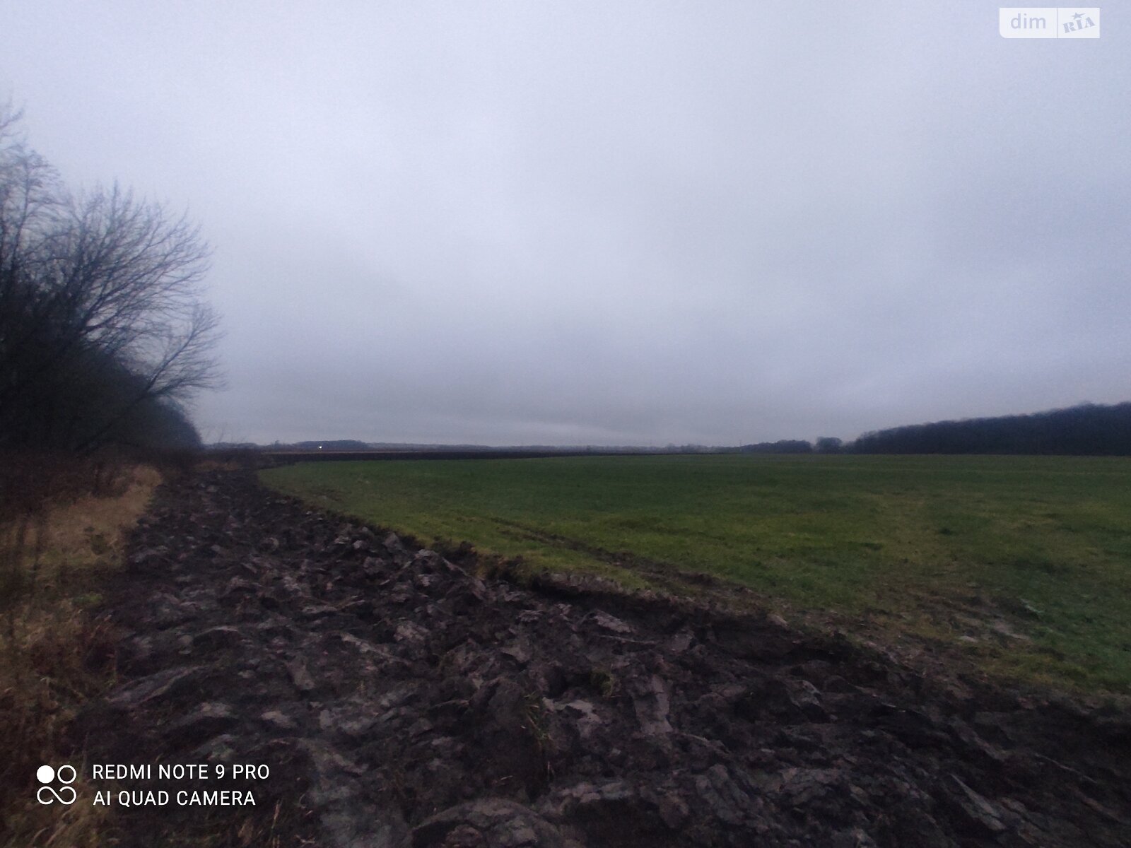 Земельна ділянка сільськогосподарського призначення в Писарівці, площа 2.2 Га фото 1 Земельна ділянка сільськогосподарського призначення в Писарівці, площа 2.2 Га фото 1