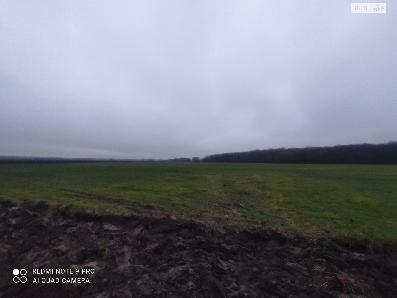 Земельна ділянка сільськогосподарського призначення в Писарівці, площа 2.2 Га фото 1 Земельна ділянка сільськогосподарського призначення в Писарівці, площа 2.2 Га фото 1