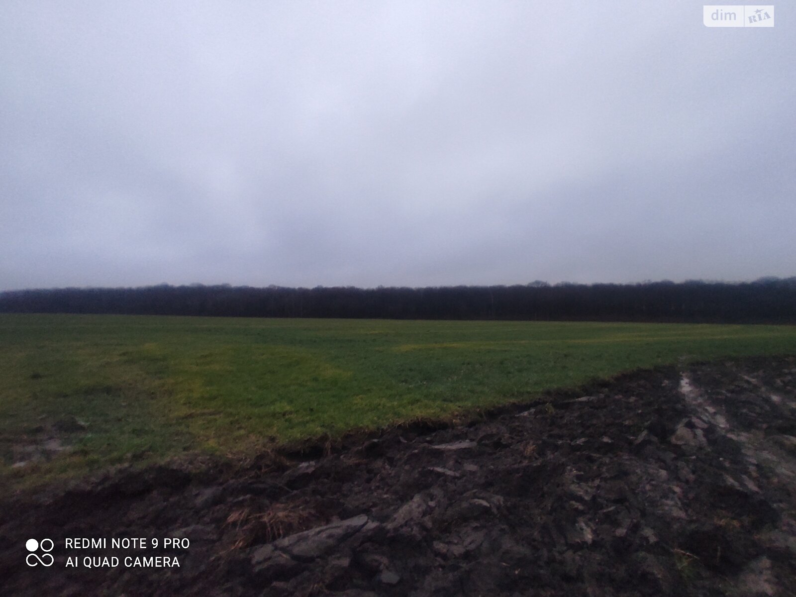 Земельна ділянка сільськогосподарського призначення в Писарівці, площа 2.2 Га фото 1 Земельна ділянка сільськогосподарського призначення в Писарівці, площа 2.2 Га фото 1