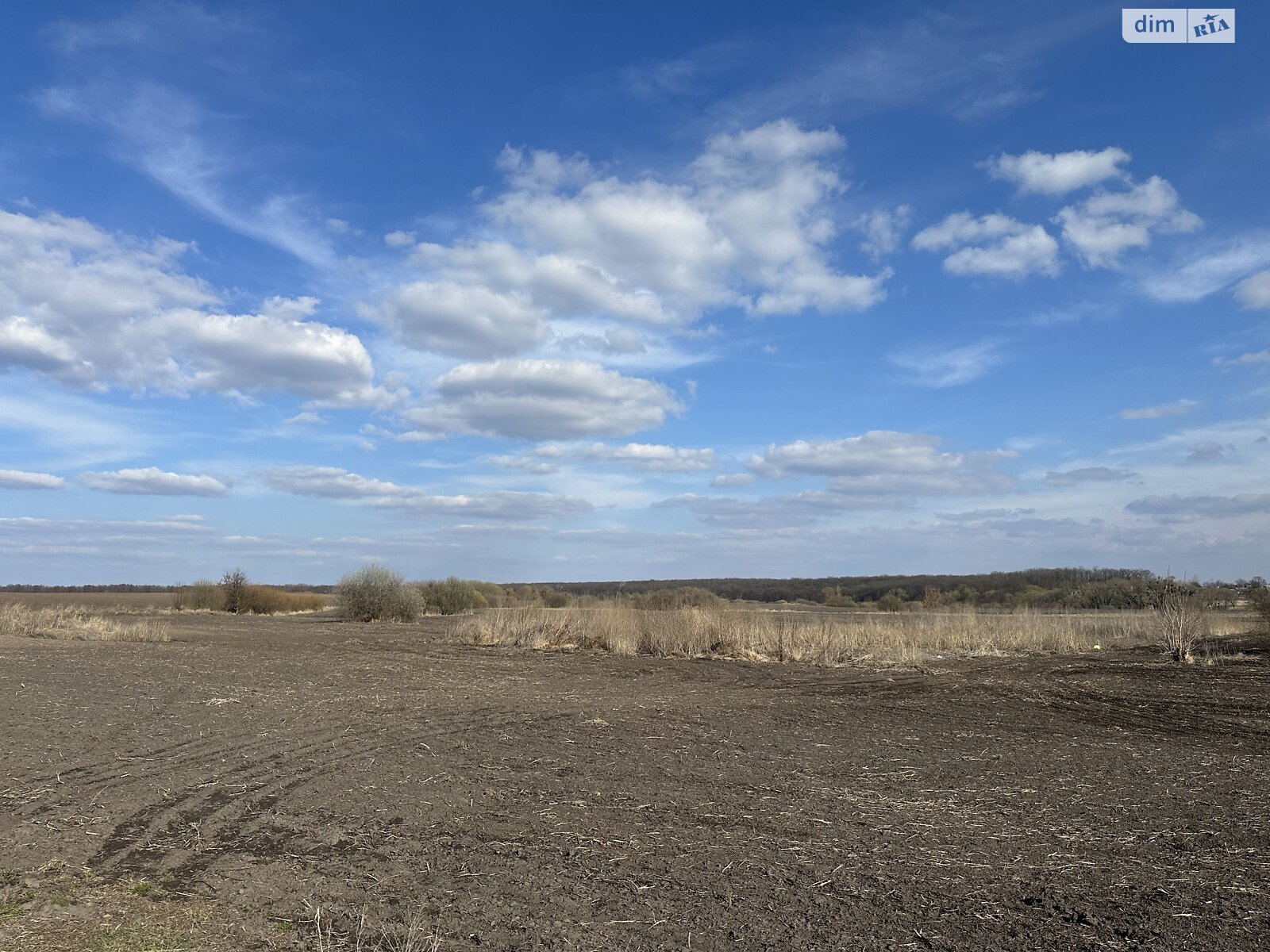 Земельна ділянка сільськогосподарського призначення в Пищиках, площа 9.73 сотки фото 1 Земельна ділянка сільськогосподарського призначення в Пищиках, площа 9.73 сотки фото 1