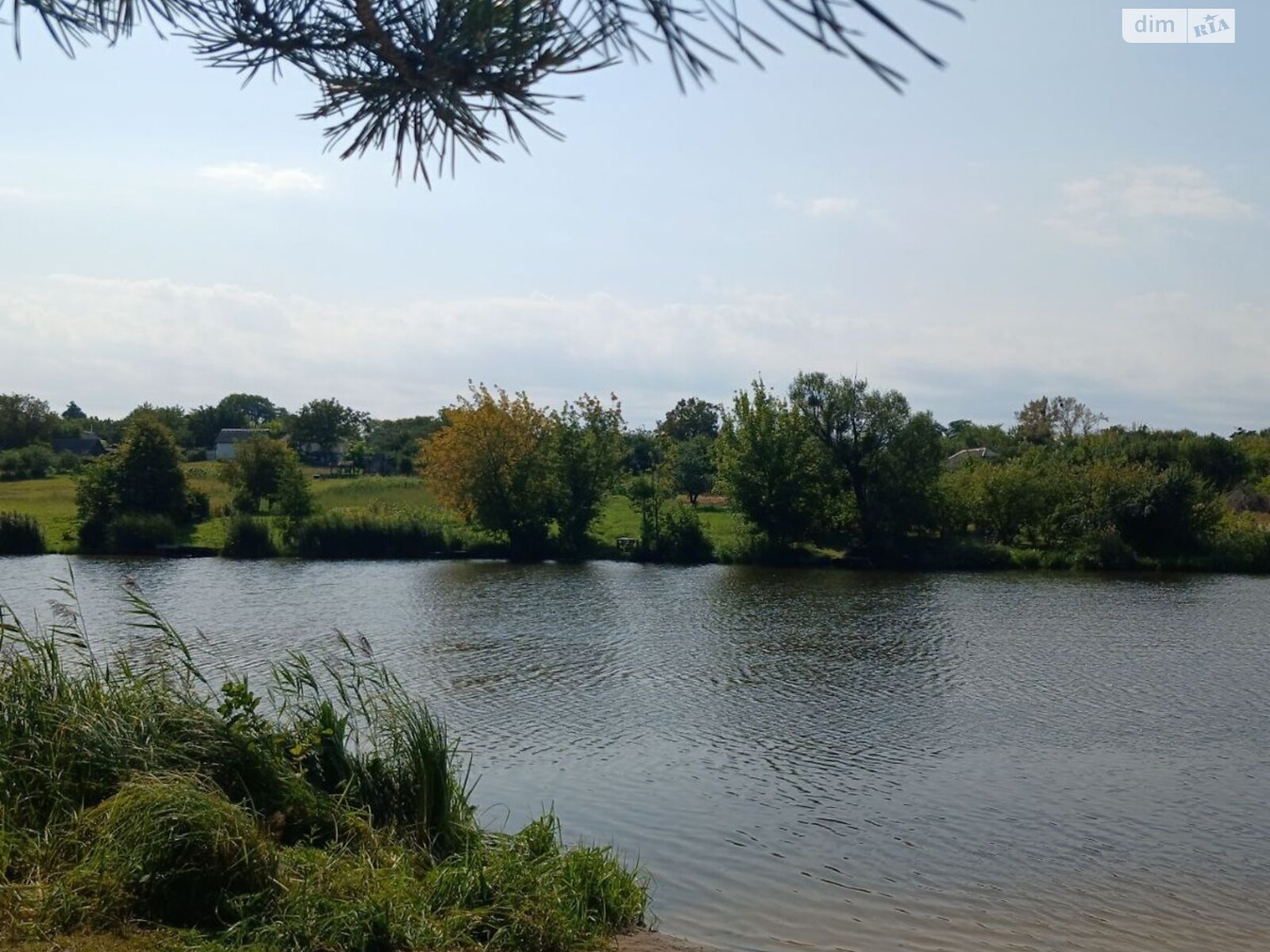 Земельный участок сельскохозяйственного назначения в Плахтянке, площадь 22.9 сотки фото 1