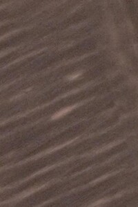 Земельный участок сельскохозяйственного назначения в Плесецком, площадь 1 Га фото 1