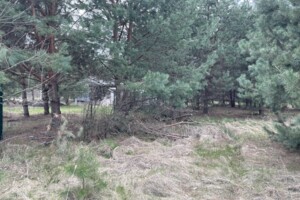 Земельна ділянка сільськогосподарського призначення в Плютах, площа 10 соток фото 2