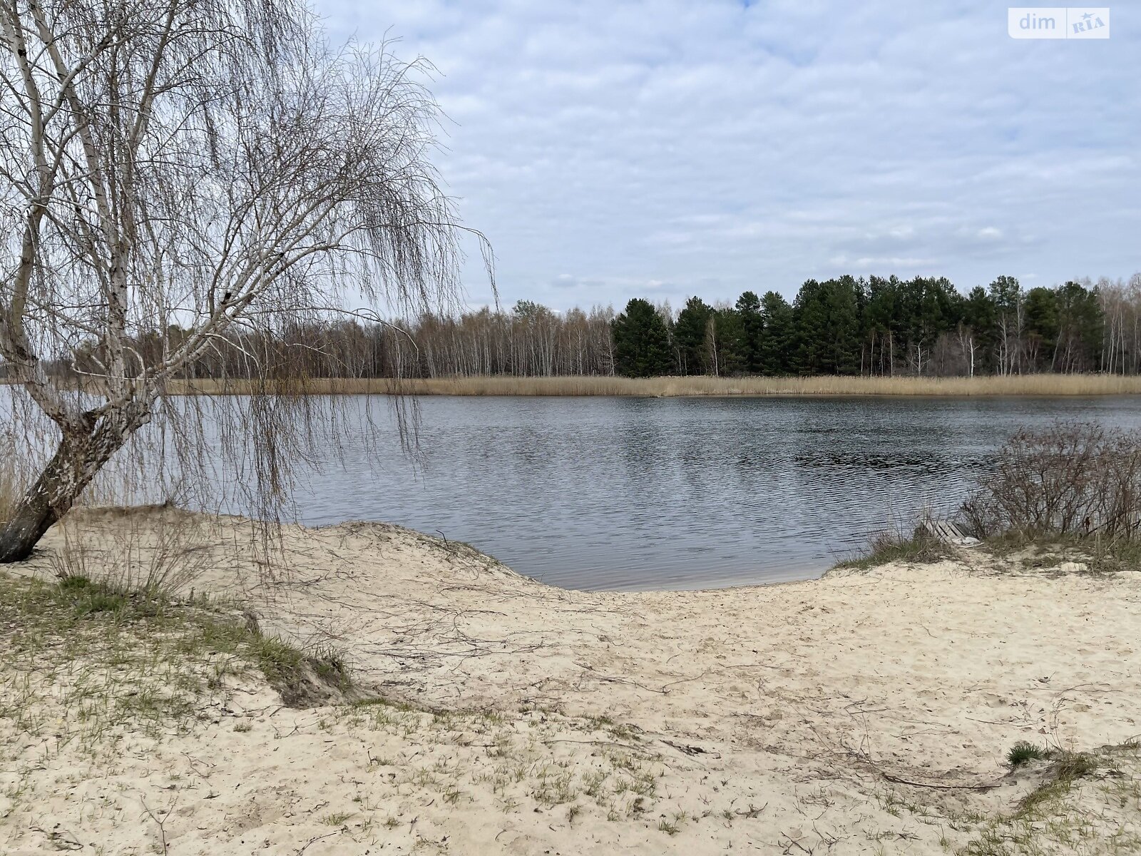 Земельна ділянка сільськогосподарського призначення в Плютах, площа 10 соток фото 1 Земельна ділянка сільськогосподарського призначення в Плютах, площа 10 соток фото 1