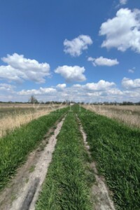 Земельна ділянка сільськогосподарського призначення в Поділлі, площа 3000 соток фото 2