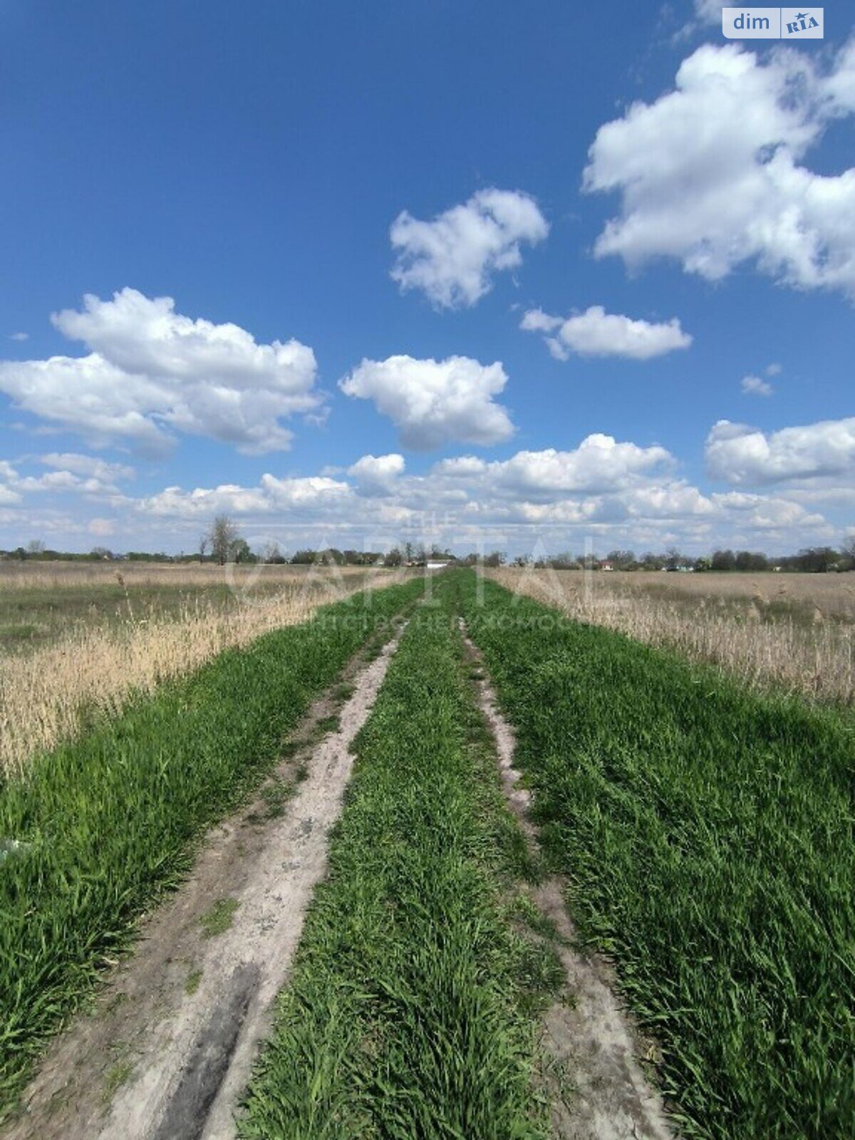 Земельна ділянка сільськогосподарського призначення в Поділлі, площа 3000 соток фото 1