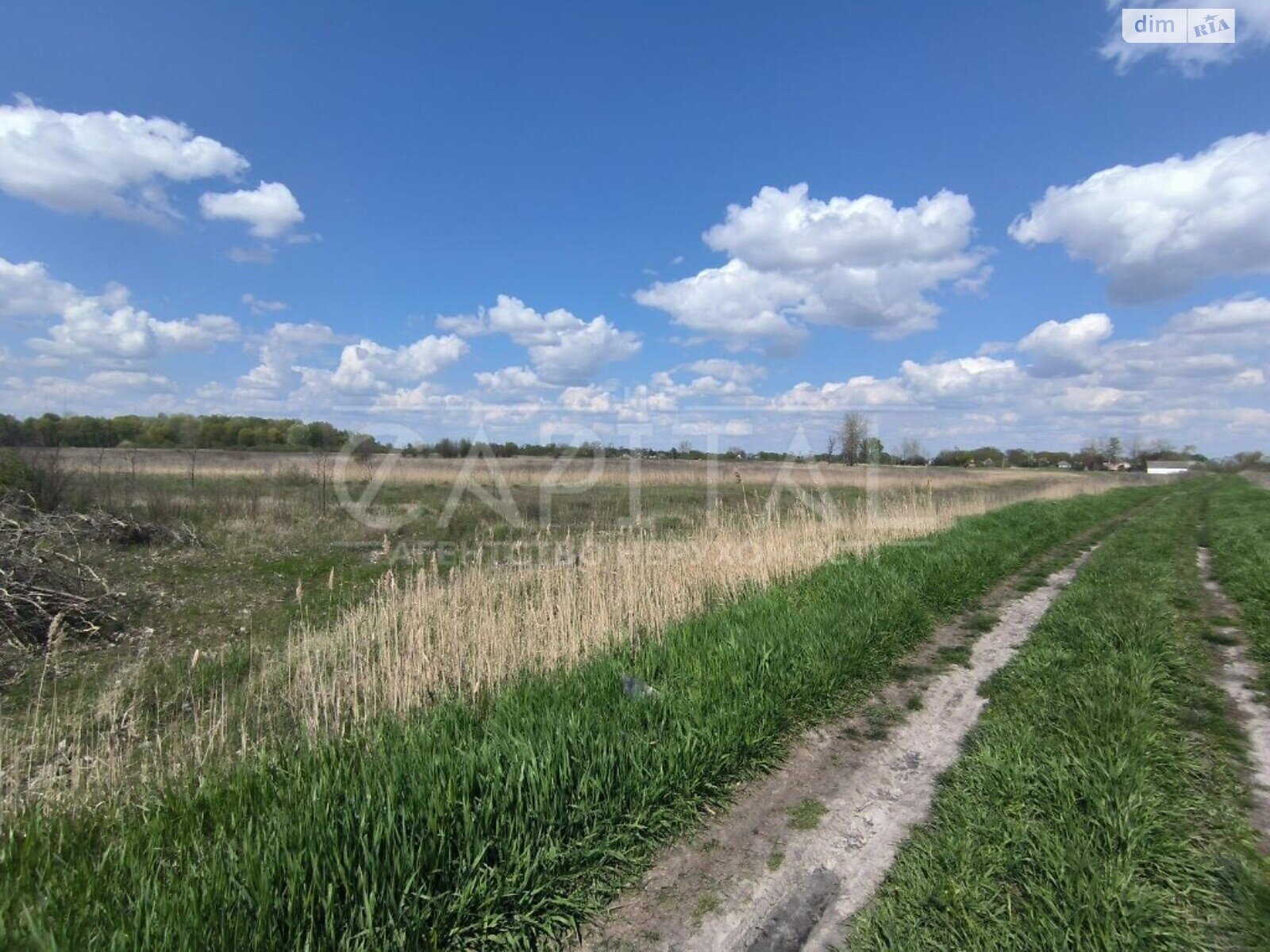 Земельна ділянка сільськогосподарського призначення в Поділлі, площа 3000 соток фото 1