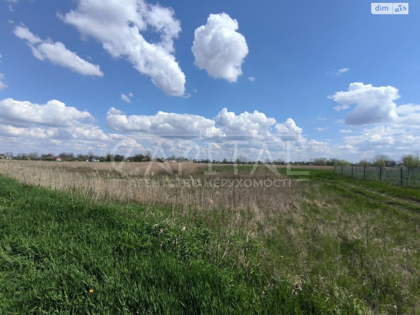 Земельна ділянка сільськогосподарського призначення в Поділлі, площа 3000 соток фото 1