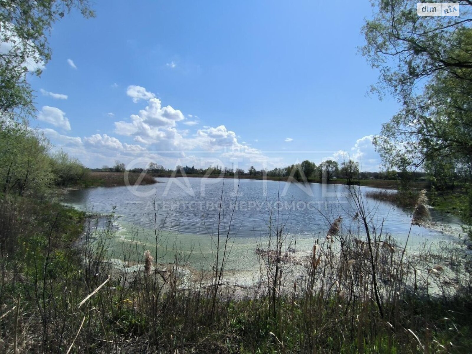 Земельна ділянка сільськогосподарського призначення в Поділлі, площа 3000 соток фото 1