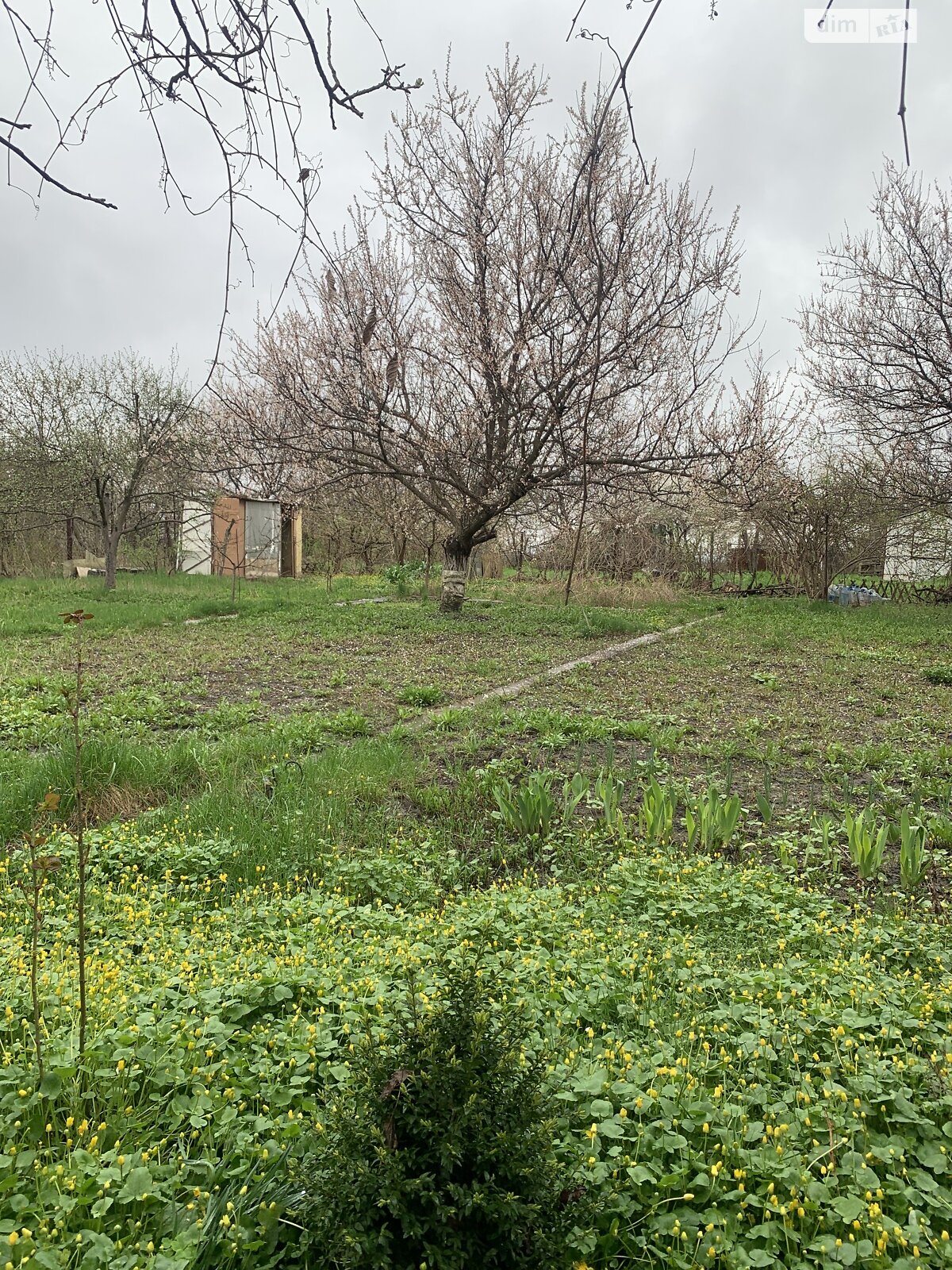 Земельна ділянка сільськогосподарського призначення в Підгородньому, площа 6 соток фото 1