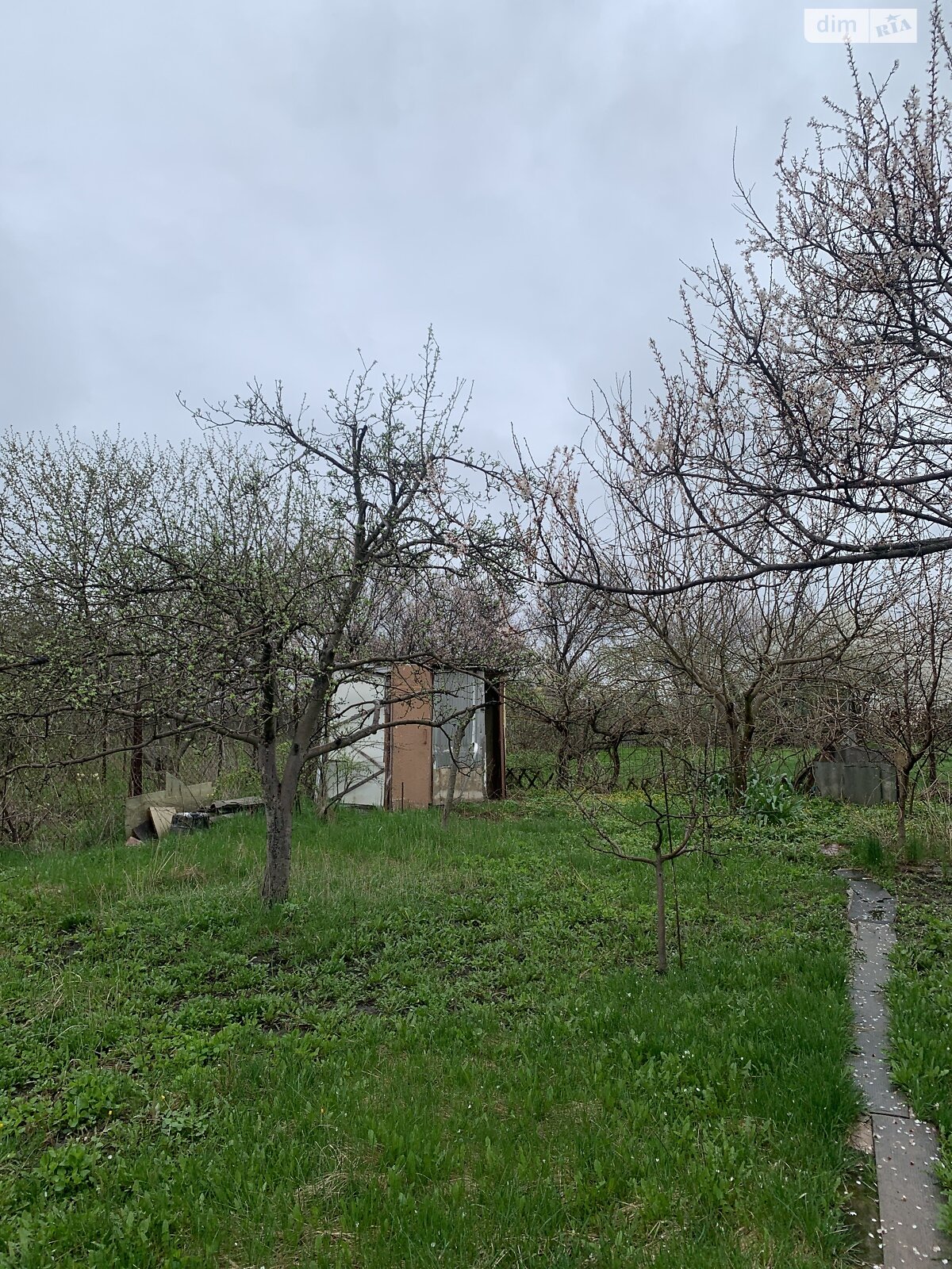 Земельна ділянка сільськогосподарського призначення в Підгородньому, площа 6 соток фото 1