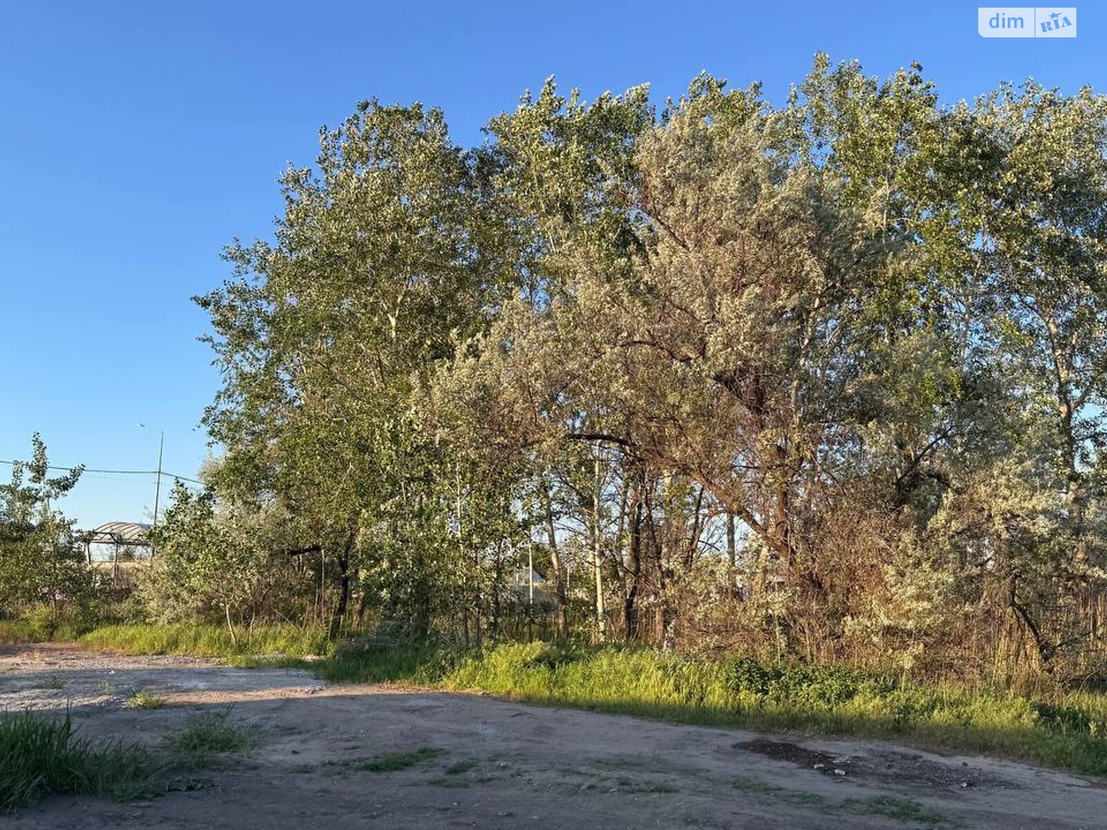 Земельна ділянка сільськогосподарського призначення в Підгородньому, площа 20 соток фото 1 Земельна ділянка сільськогосподарського призначення в Підгородньому, площа 20 соток фото 1