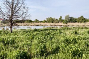 Земельна ділянка сільськогосподарського призначення в Підгородньому, площа 8 соток фото 2