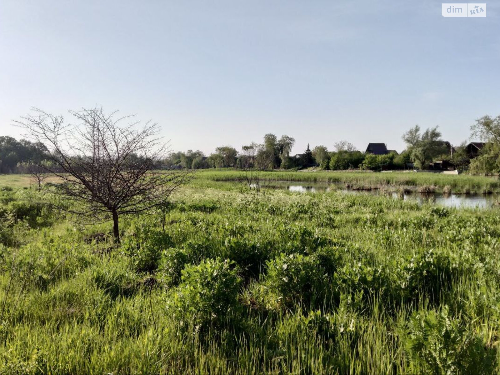 Земельна ділянка сільськогосподарського призначення в Підгородньому, площа 8 соток фото 1 Земельна ділянка сільськогосподарського призначення в Підгородньому, площа 8 соток фото 1