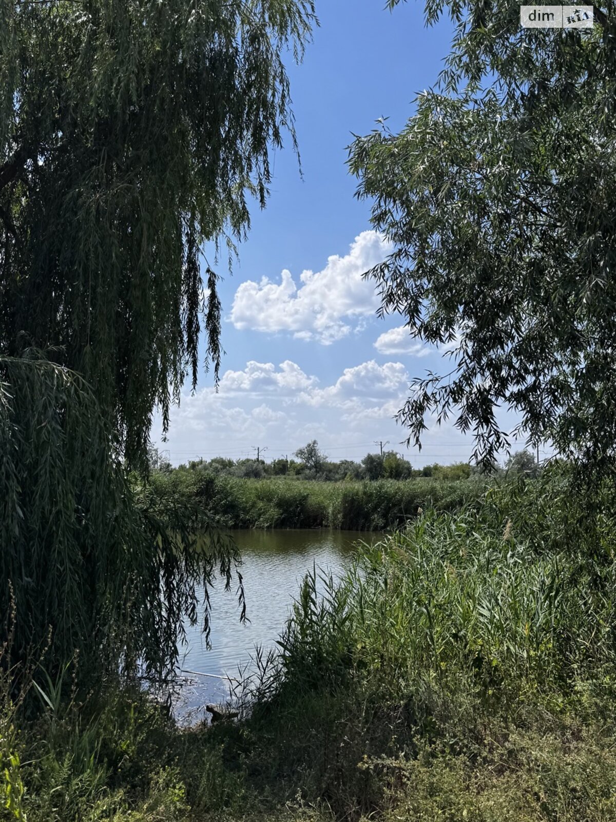 Земельна ділянка сільськогосподарського призначення в Підгородньому, площа 5.6 сотки фото 1 Земельна ділянка сільськогосподарського призначення в Підгородньому, площа 5.6 сотки фото 1