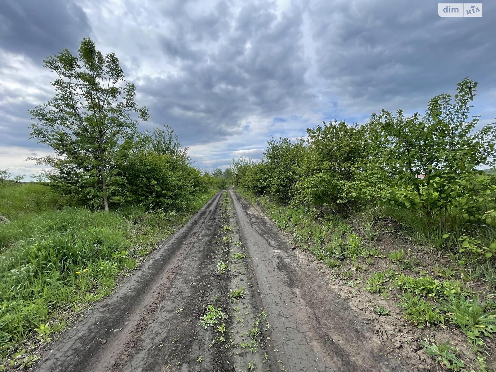 Земельна ділянка сільськогосподарського призначення в Підгородне, площа 230 соток фото 1 Земельна ділянка сільськогосподарського призначення в Підгородне, площа 230 соток фото 1