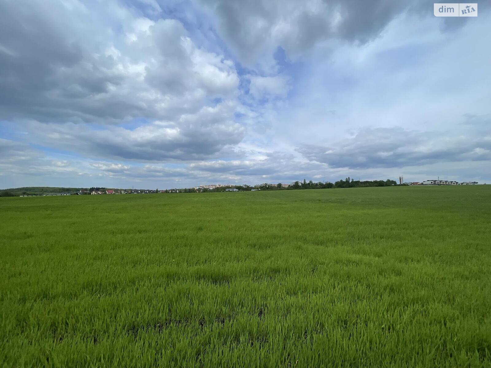 Земельна ділянка сільськогосподарського призначення в Підгородне, площа 230 соток фото 1 Земельна ділянка сільськогосподарського призначення в Підгородне, площа 230 соток фото 1