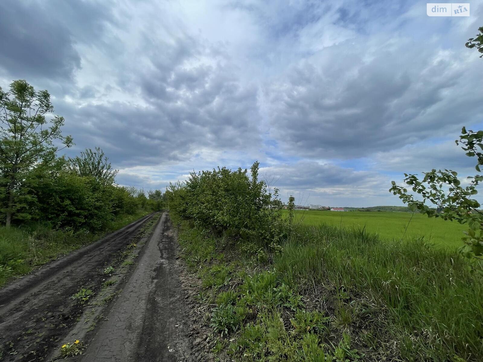 Земельна ділянка сільськогосподарського призначення в Підгородне, площа 230 соток фото 1 Земельна ділянка сільськогосподарського призначення в Підгородне, площа 230 соток фото 1