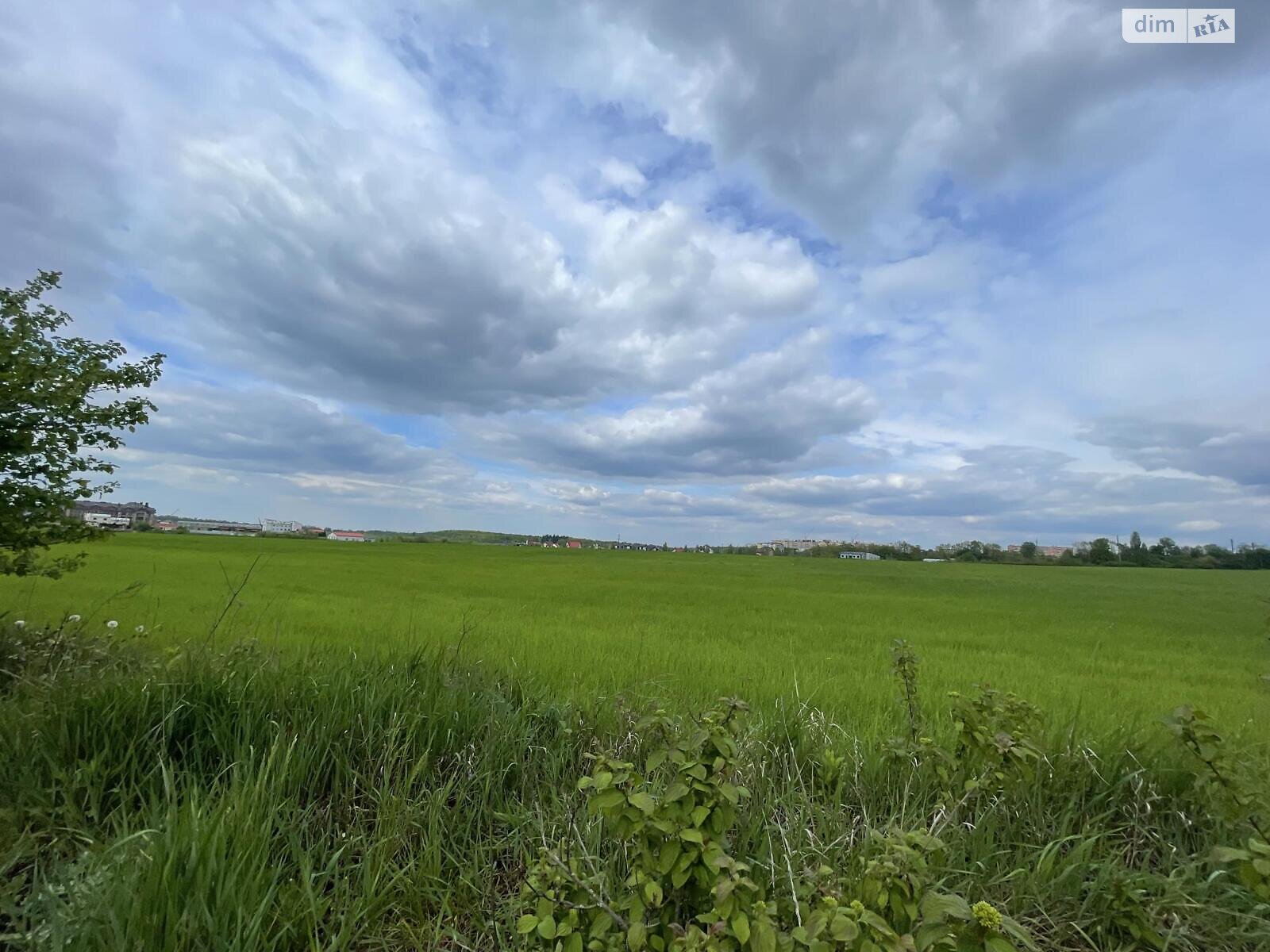 Земельна ділянка сільськогосподарського призначення в Підгородне, площа 230 соток фото 1 Земельна ділянка сільськогосподарського призначення в Підгородне, площа 230 соток фото 1