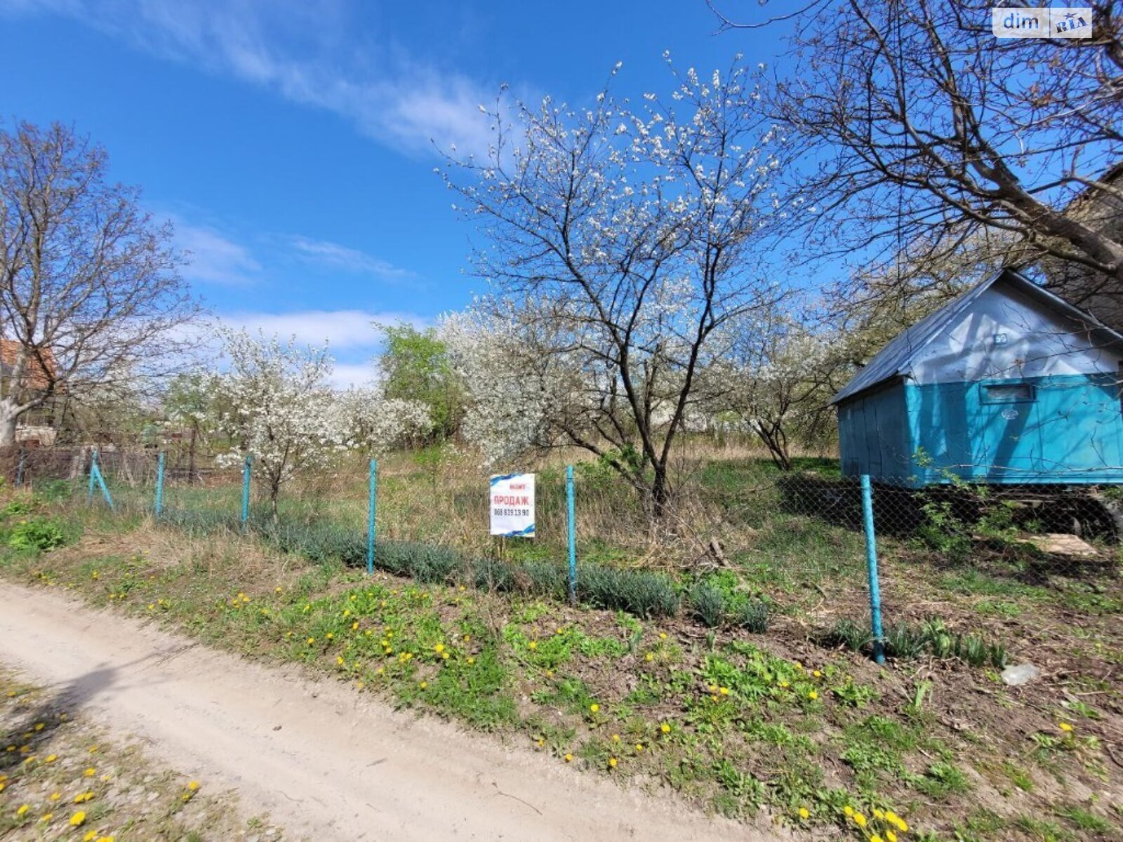 Земельна ділянка сільськогосподарського призначення в Підгородне, площа 5.4 сотки фото 1