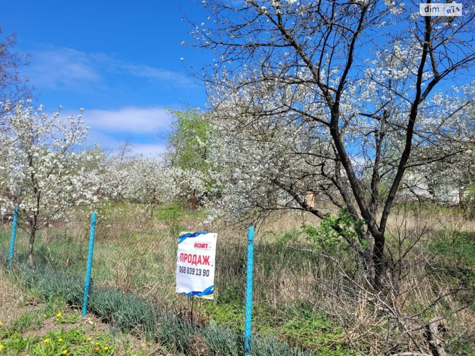 Земельна ділянка сільськогосподарського призначення в Підгородне, площа 5.4 сотки фото 1