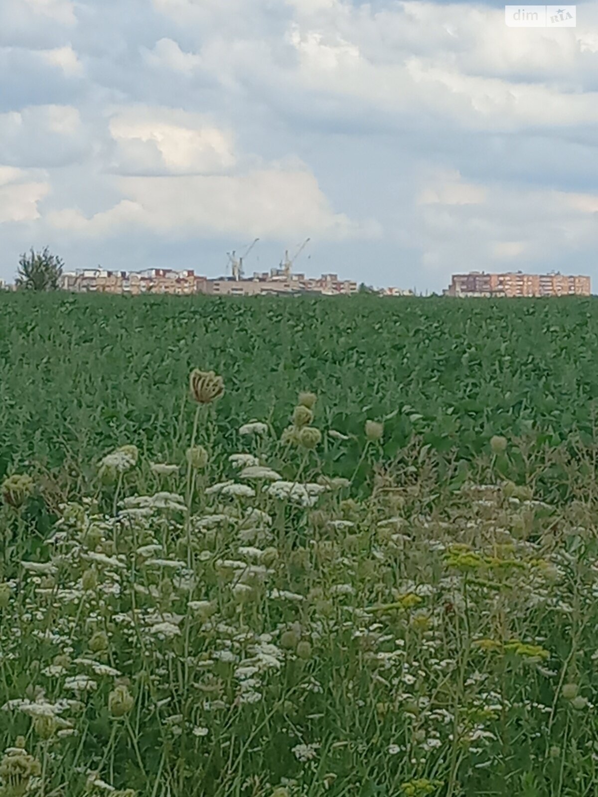 Земельна ділянка сільськогосподарського призначення в Підгородне, площа 10 соток фото 1 Земельна ділянка сільськогосподарського призначення в Підгородне, площа 10 соток фото 1