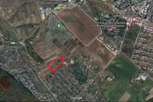 Земельна ділянка сільськогосподарського призначення в Підгородне, площа 201 сотка фото 2