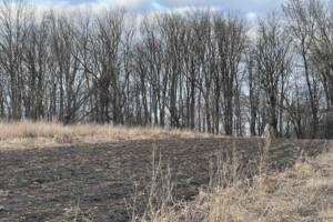 Земельный участок сельскохозяйственного назначения в Подгородном, площадь 10 соток фото 2