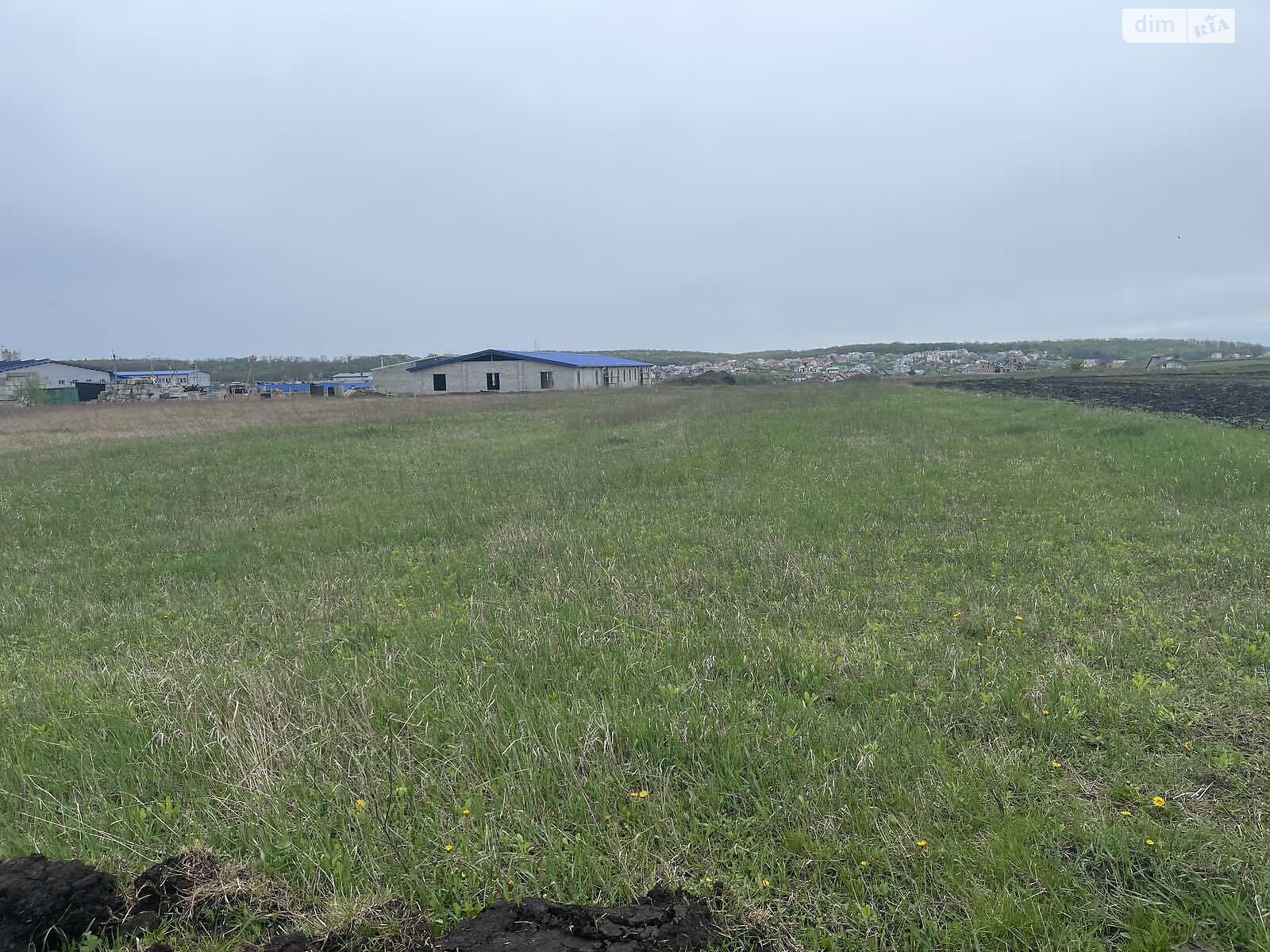 Земельна ділянка сільськогосподарського призначення в Підгородне, площа 16 соток фото 1