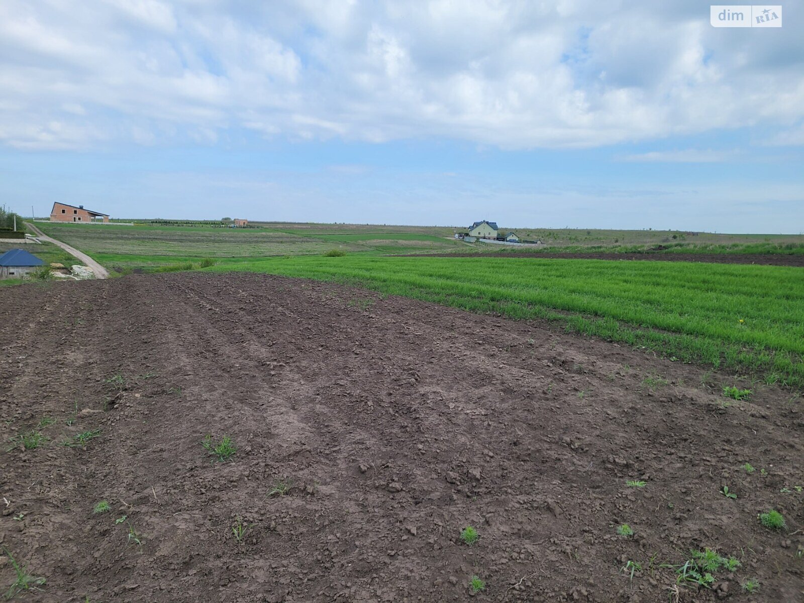 Земельна ділянка сільськогосподарського призначення в Підгородне, площа 12 соток фото 1 Земельна ділянка сільськогосподарського призначення в Підгородне, площа 12 соток фото 1