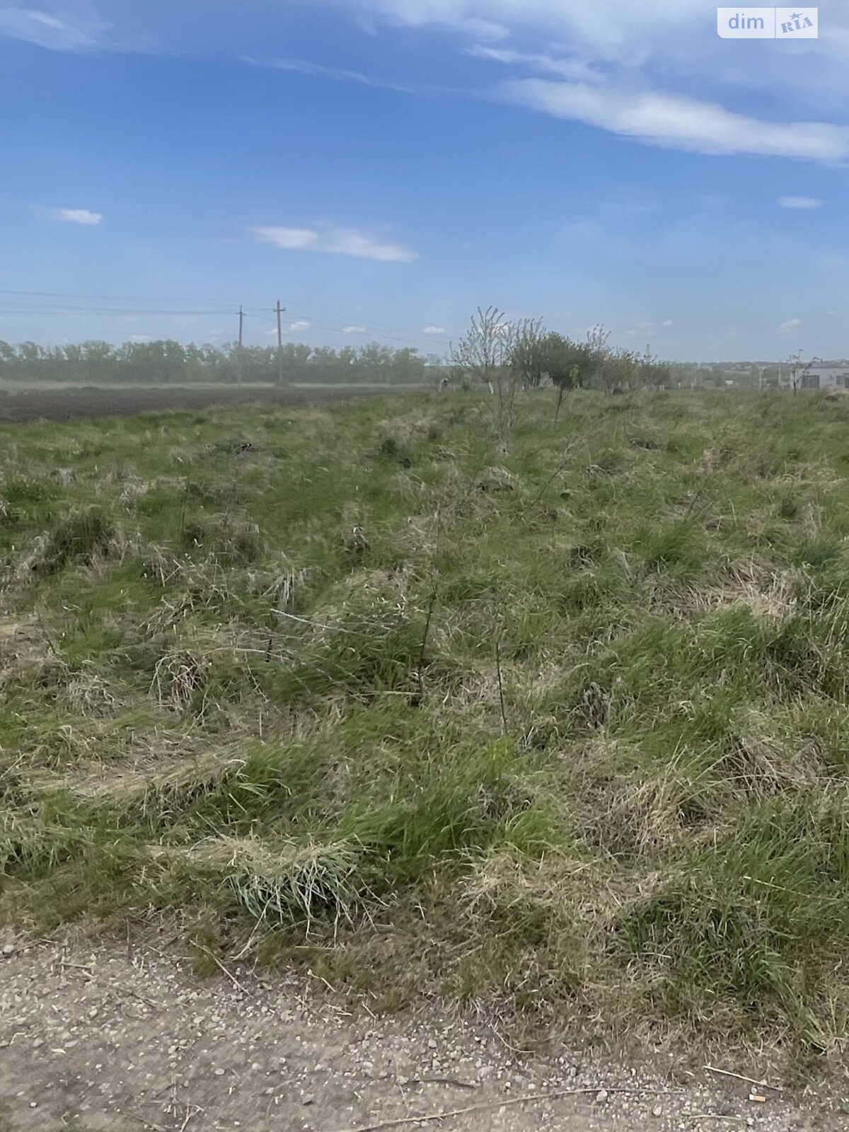 Земельный участок сельскохозяйственного назначения в Подгородном, площадь 5 соток фото 1 Земельный участок сельскохозяйственного назначения в Подгородном, площадь 5 соток фото 1
