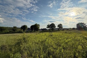 Земельна ділянка сільськогосподарського призначення в Підгородне, площа 10 соток фото 2