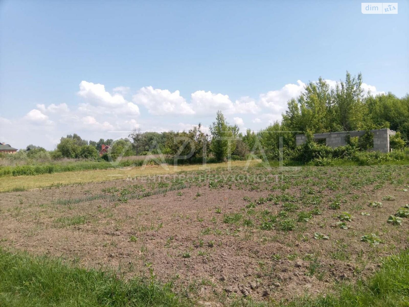 Земельна ділянка сільськогосподарського призначення в Підгірцях, площа 21 сотка фото 1