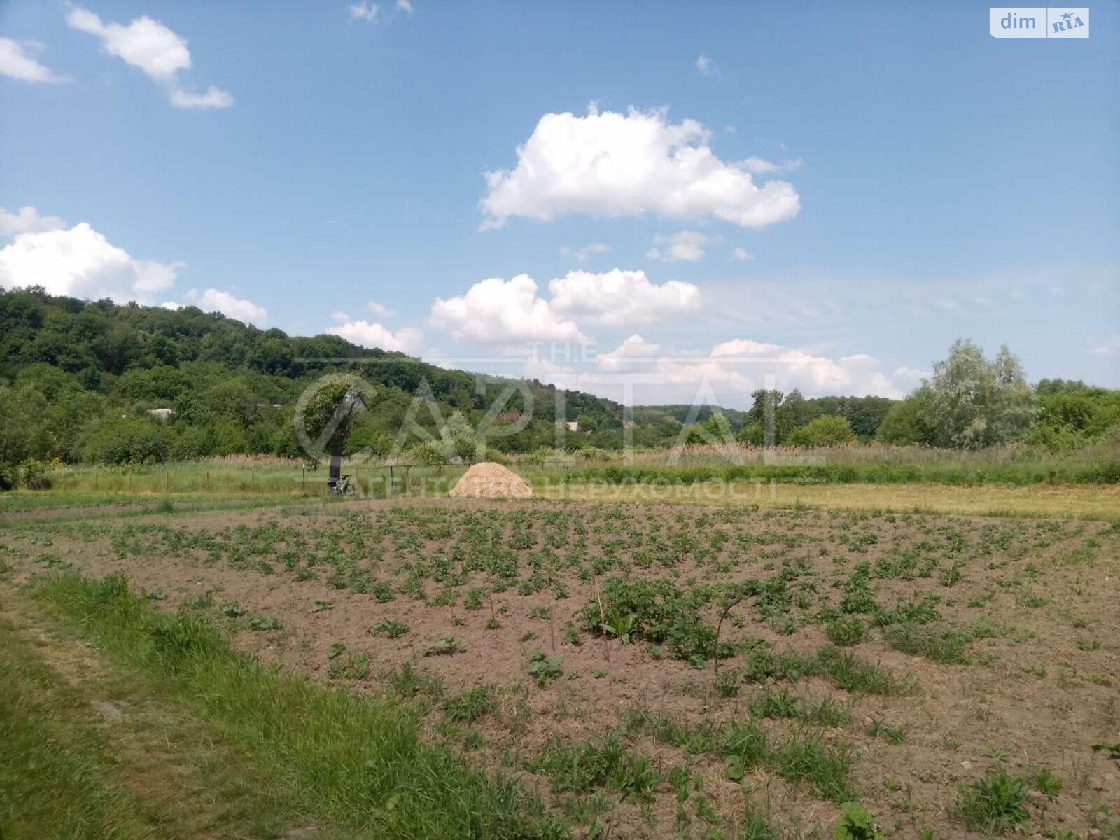 Земельный участок сельскохозяйственного назначения в Подгорцах, площадь 21 сотка фото 1
