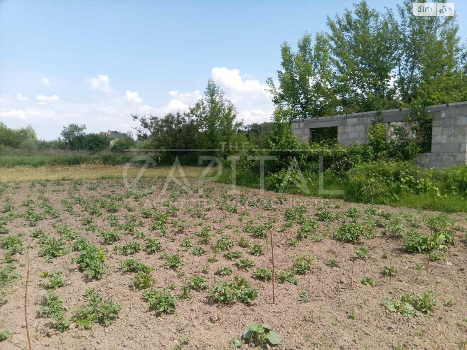 Земельный участок сельскохозяйственного назначения в Подгорцах, площадь 21 сотка фото 1