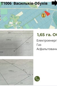 Земельна ділянка сільськогосподарського призначення в Підгірцях, площа 165 соток фото 2