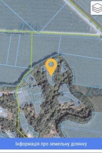 Земельный участок сельскохозяйственного назначения в Подгорцах, площадь 12 соток фото 2