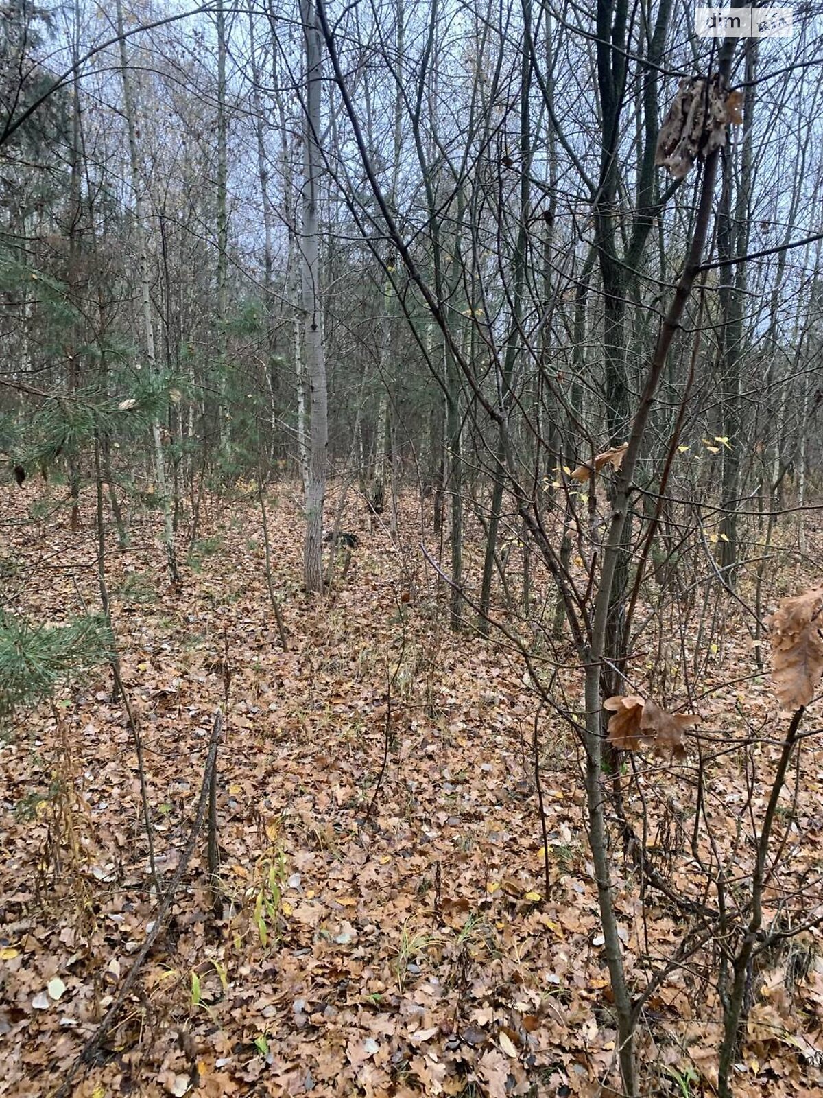 Земельный участок сельскохозяйственного назначения в Подгорцах, площадь 12 соток фото 1