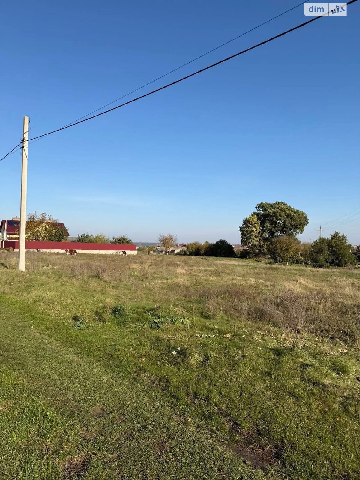 Земельна ділянка сільськогосподарського призначення в Підлісцях, площа 0.1388 сотки фото 1 Земельна ділянка сільськогосподарського призначення в Підлісцях, площа 0.1388 сотки фото 1