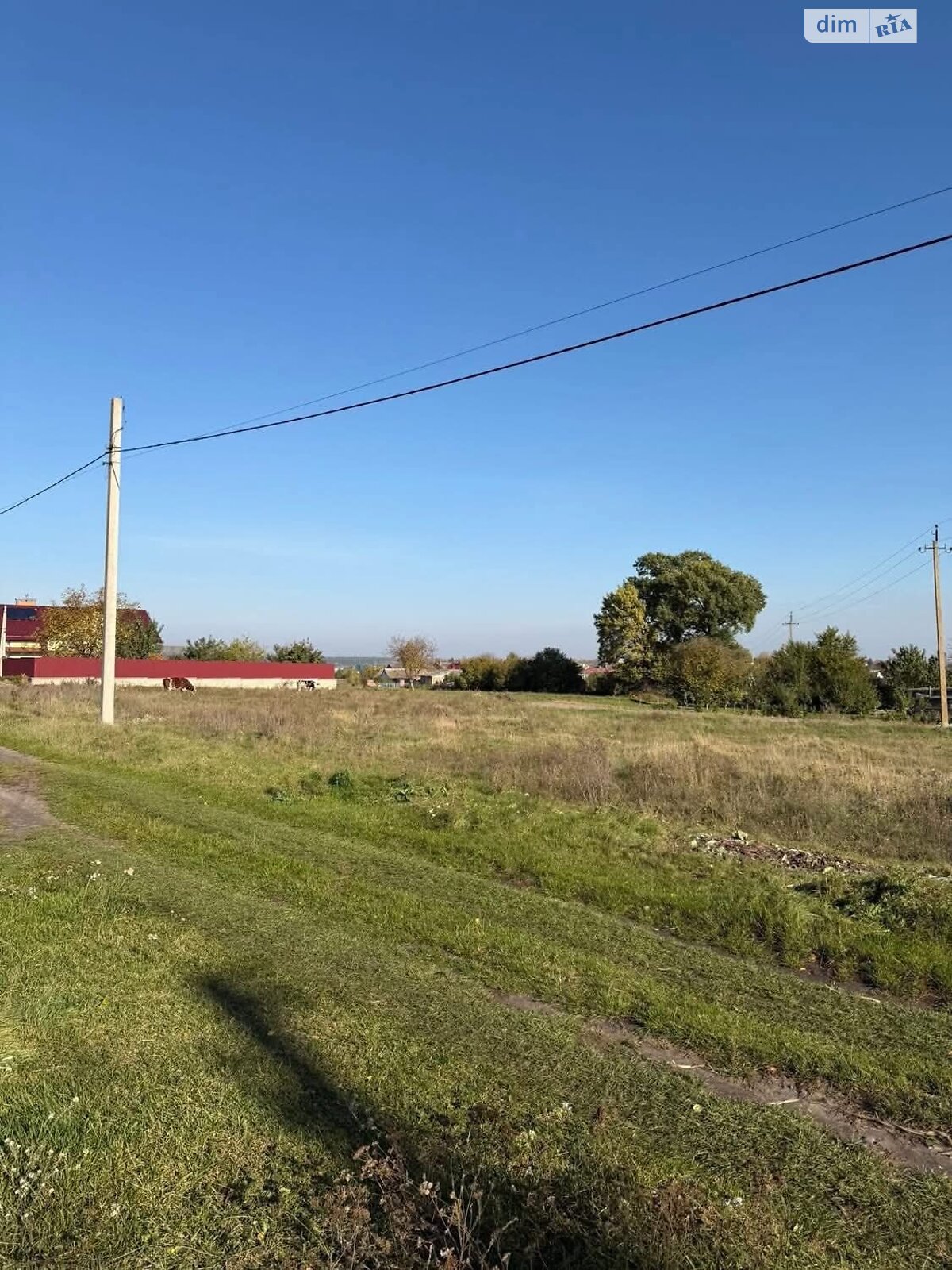 Земельна ділянка сільськогосподарського призначення в Підлісцях, площа 0.1388 сотки фото 1 Земельна ділянка сільськогосподарського призначення в Підлісцях, площа 0.1388 сотки фото 1