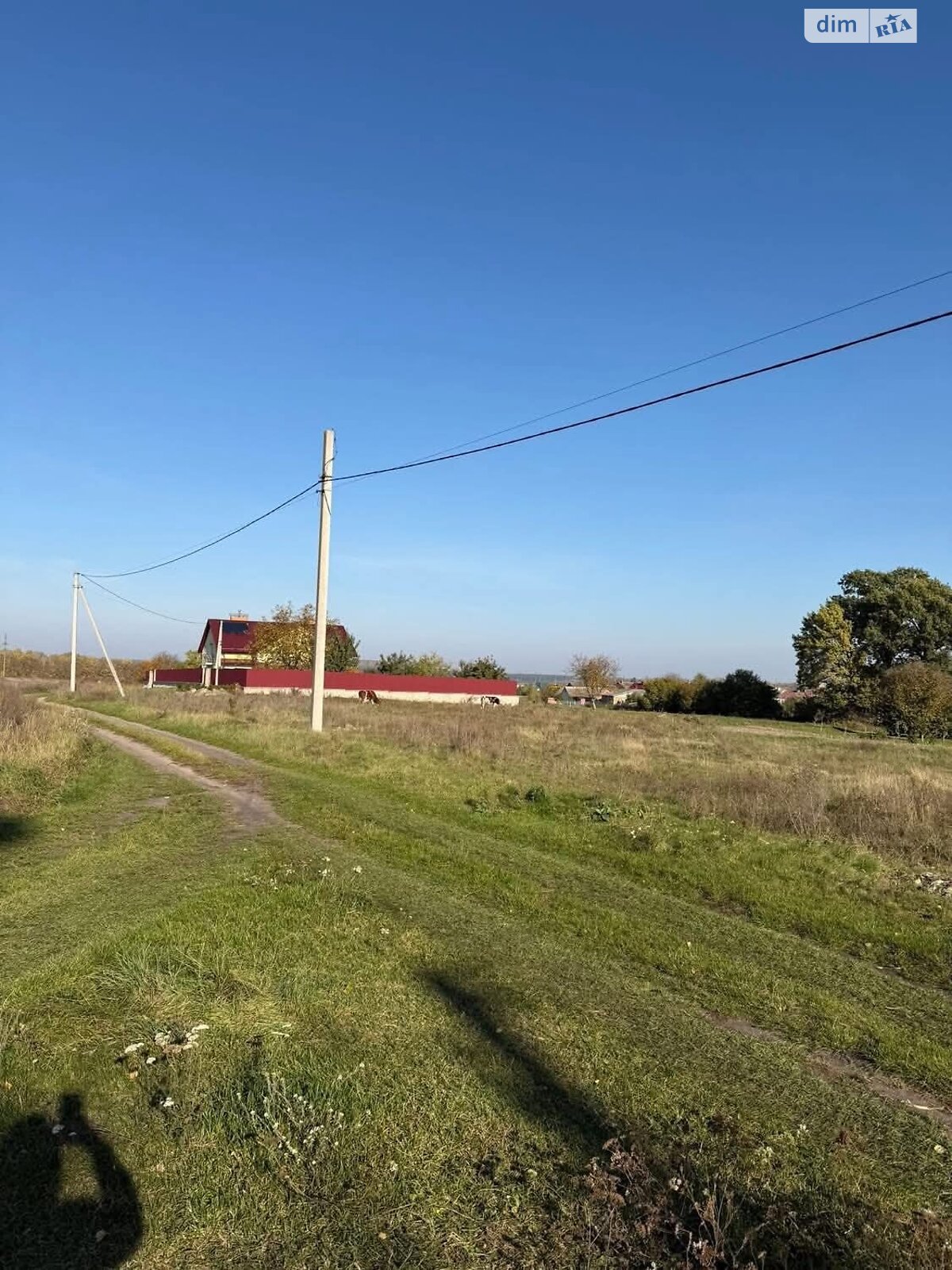 Земельна ділянка сільськогосподарського призначення в Підлісцях, площа 0.1388 сотки фото 1 Земельна ділянка сільськогосподарського призначення в Підлісцях, площа 0.1388 сотки фото 1