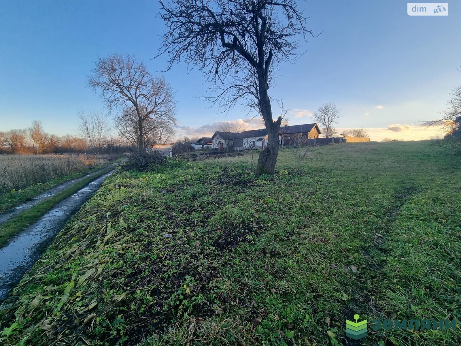 Земельна ділянка сільськогосподарського призначення в Підпечерах, площа 10.93 сотки фото 1