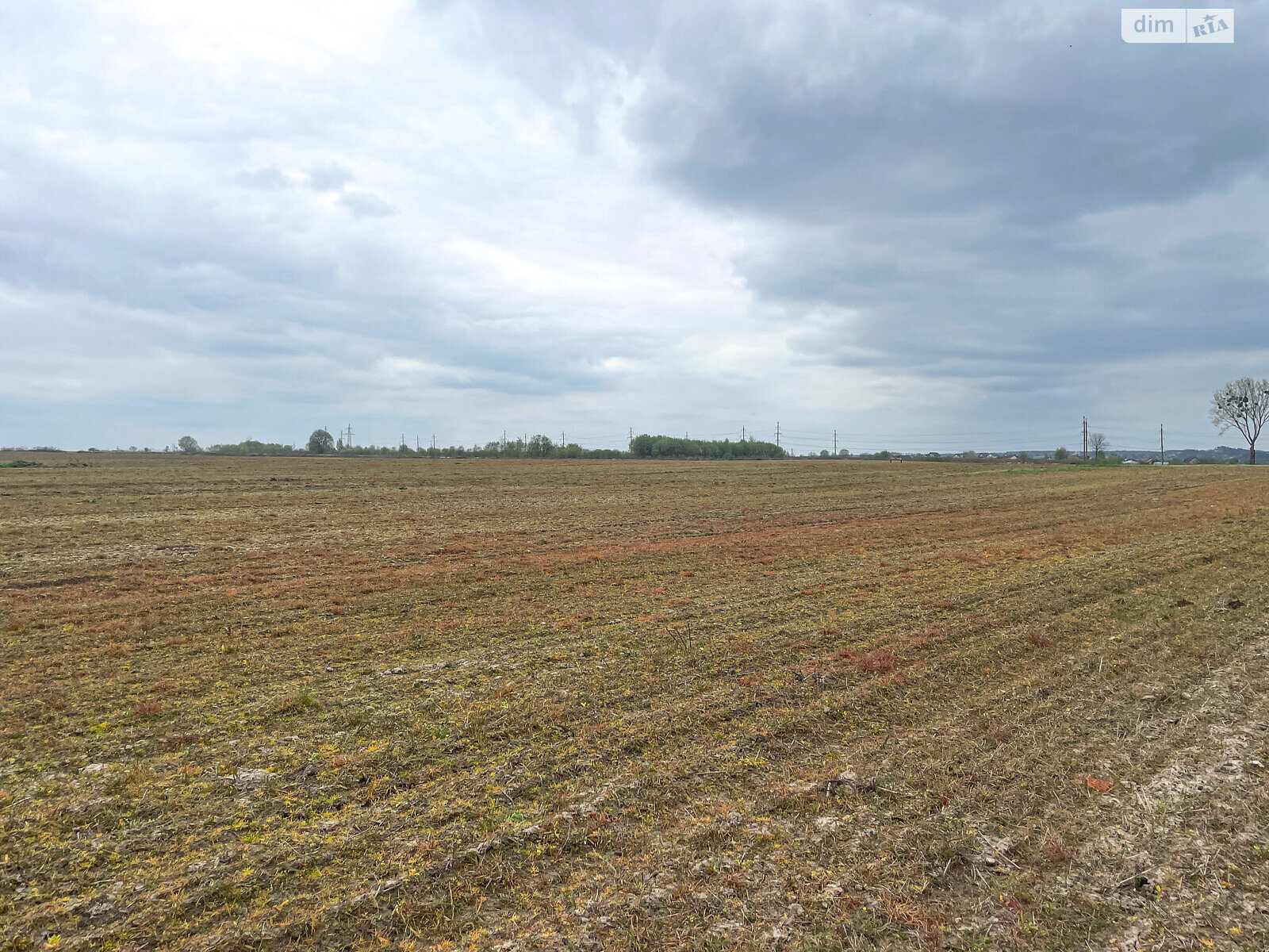 Земельный участок сельскохозяйственного назначения в Подрясном, площадь 95.1 сотки фото 1
