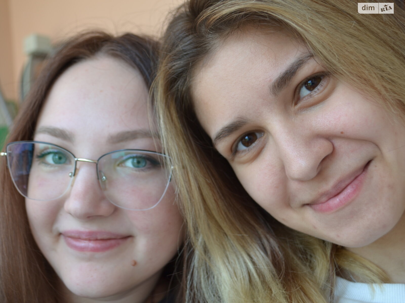 Земельна ділянка сільськогосподарського призначення в Підтемне, площа 24 сотки фото 1