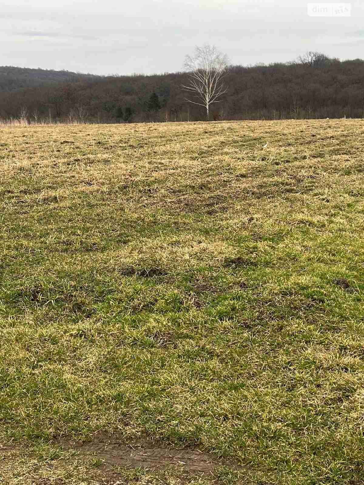 Земельна ділянка сільськогосподарського призначення в Підтемне, площа 24 сотки фото 1