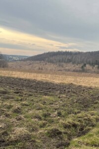 Земельна ділянка сільськогосподарського призначення в Підтемне, площа 24 сотки фото 2