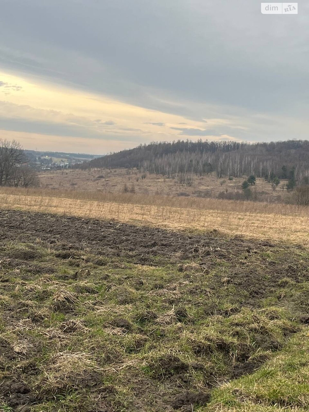 Земельна ділянка сільськогосподарського призначення в Підтемне, площа 24 сотки фото 1