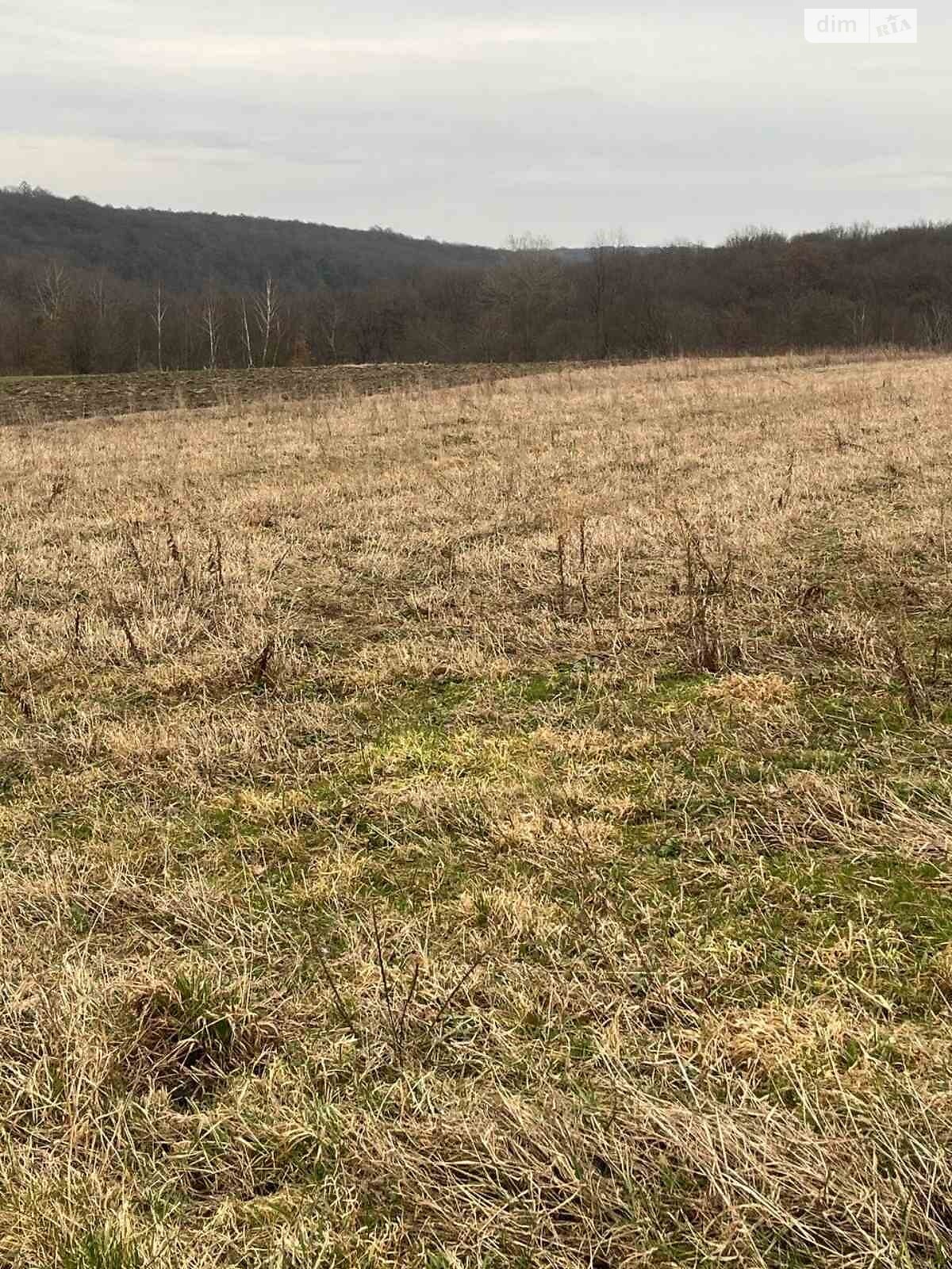 Земельна ділянка сільськогосподарського призначення в Підтемне, площа 24 сотки фото 1