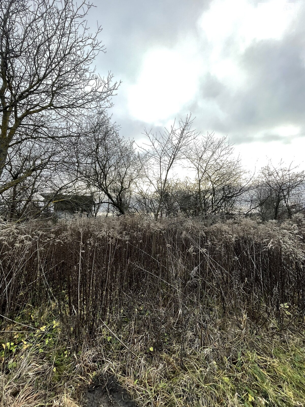 Земельный участок сельскохозяйственного назначения в Полтаве, площадь 7 соток фото 1 Земельный участок сельскохозяйственного назначения в Полтаве, площадь 7 соток фото 1