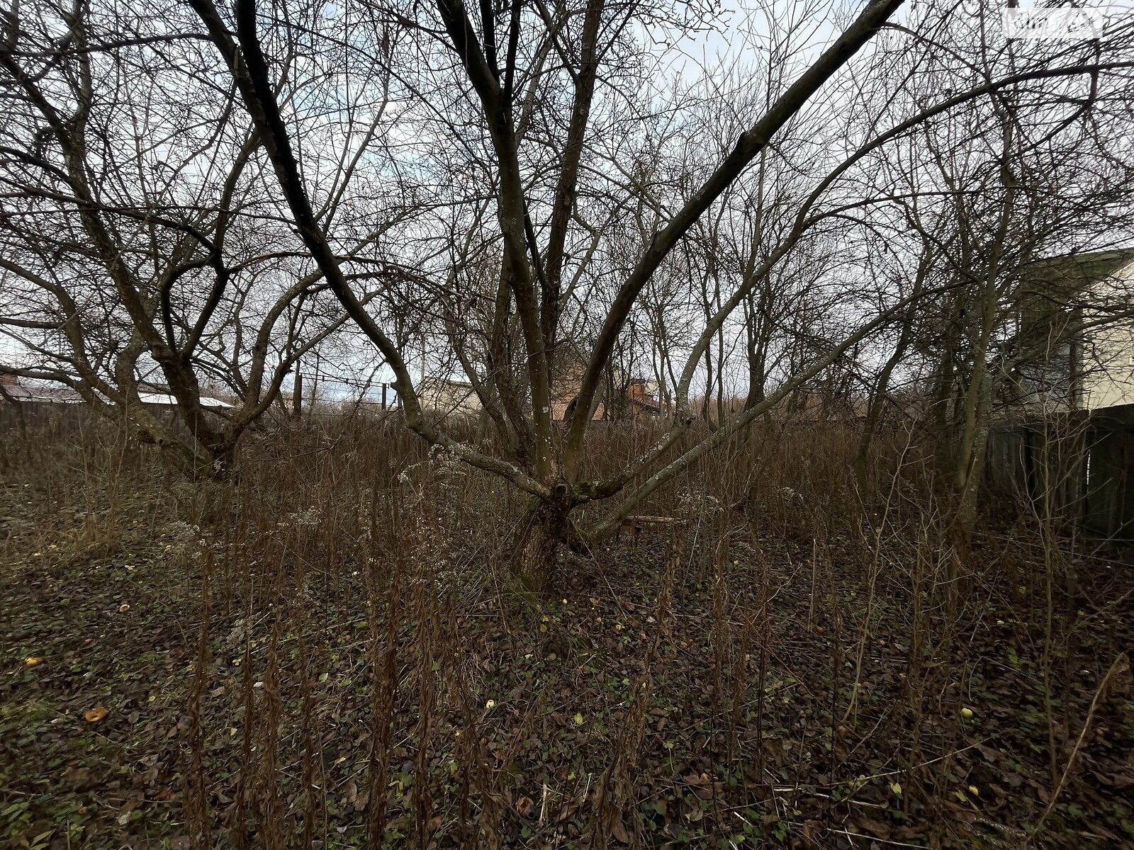 Земельный участок сельскохозяйственного назначения в Полтаве, площадь 7 соток фото 1 Земельный участок сельскохозяйственного назначения в Полтаве, площадь 7 соток фото 1